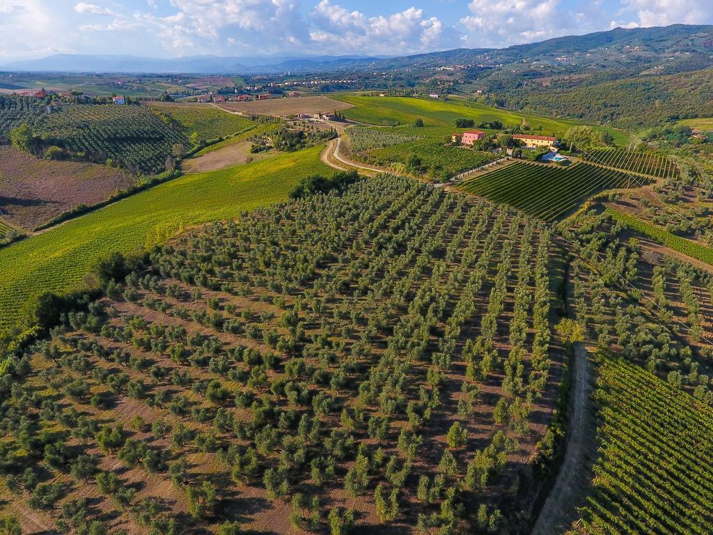 Agriturismo Luggiano Vinci Exteriör bild