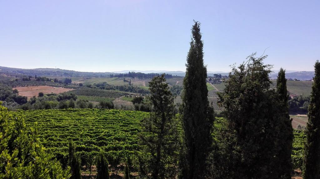 Agriturismo Luggiano Vinci Exteriör bild